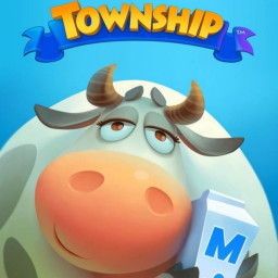 Township