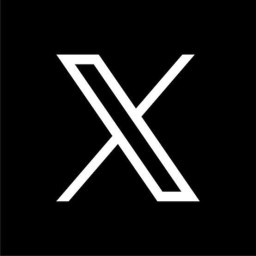 X (anteriormente Twitter)