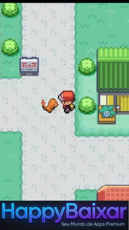 Pokémon Fire Red screenshot