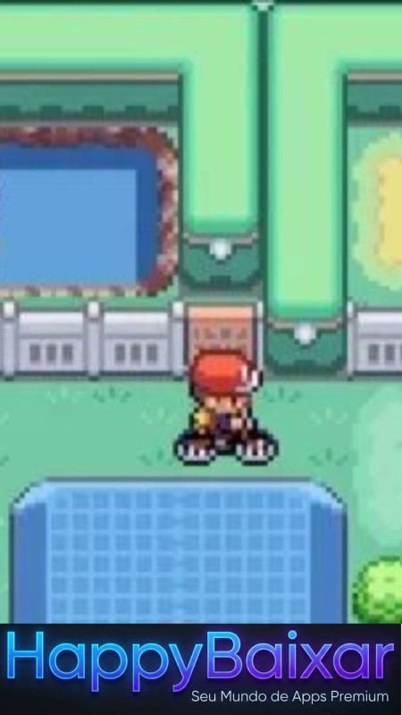Pokémon Fire Red screenshot