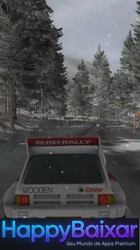 Rush Rally 3 screenshot